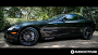 19" Stance Wheels SF03 Gloss Black Tinted Machined Rims